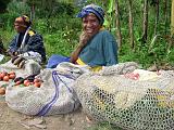 Papua Highlands (Mt. Hagen-Ambua-Tari-Mendi) - 78